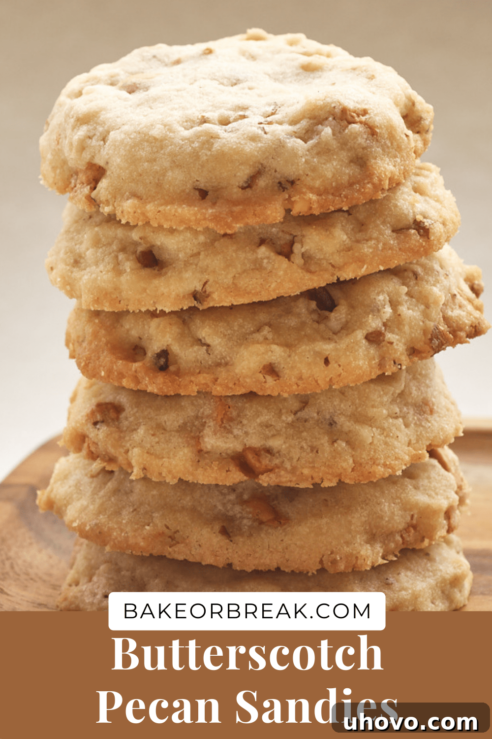 Large banner image featuring Butterscotch Pecan Sandies, with bakeorbreak.com watermark