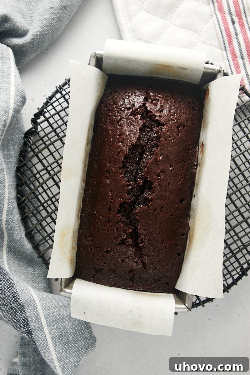 A beautifully golden-brown, freshly baked Chocolate Loaf Cake, still in its pan, resting on a wire rack to begin the cooling process.