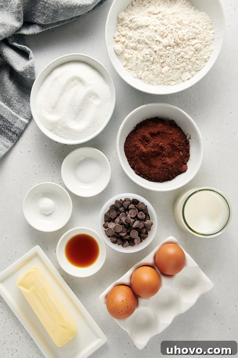An inviting overhead view showcasing all the essential ingredients laid out neatly for baking a delicious Chocolate Loaf Cake, ready for preparation.