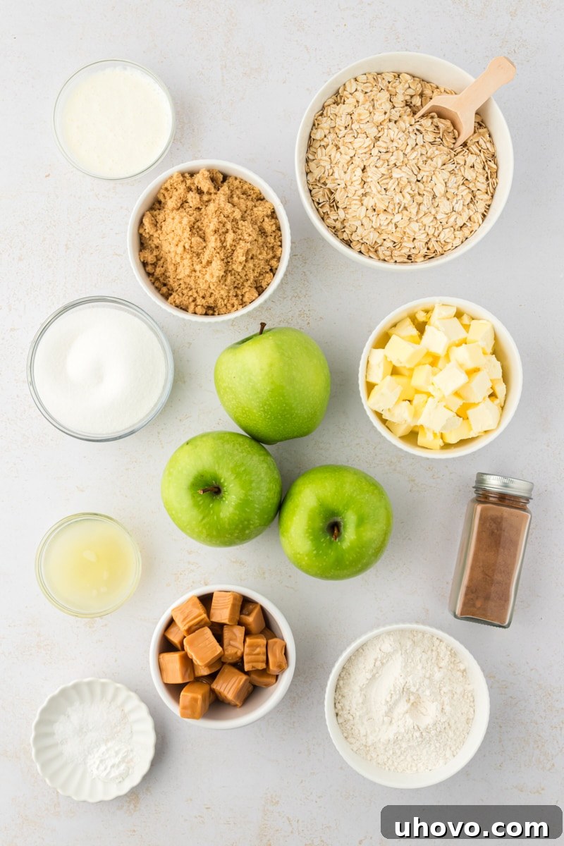 Overhead view of ingredients for caramel apple bars