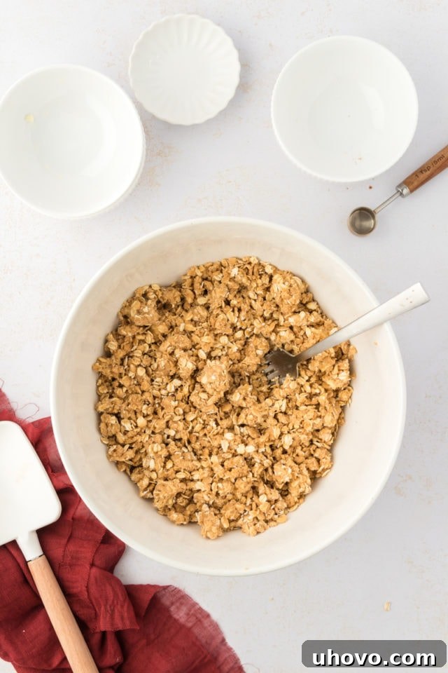 Overhead view of oat crust mixture in bowl