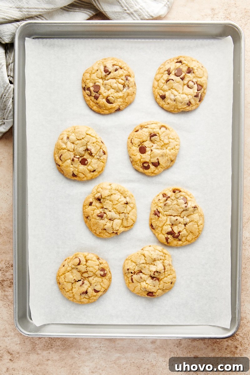 Overhead view of freshly baked Cheesecake-Stuffed Chocolate Chip Cookies on a parchment-lined baking sheet, golden brown and perfectly puffed.