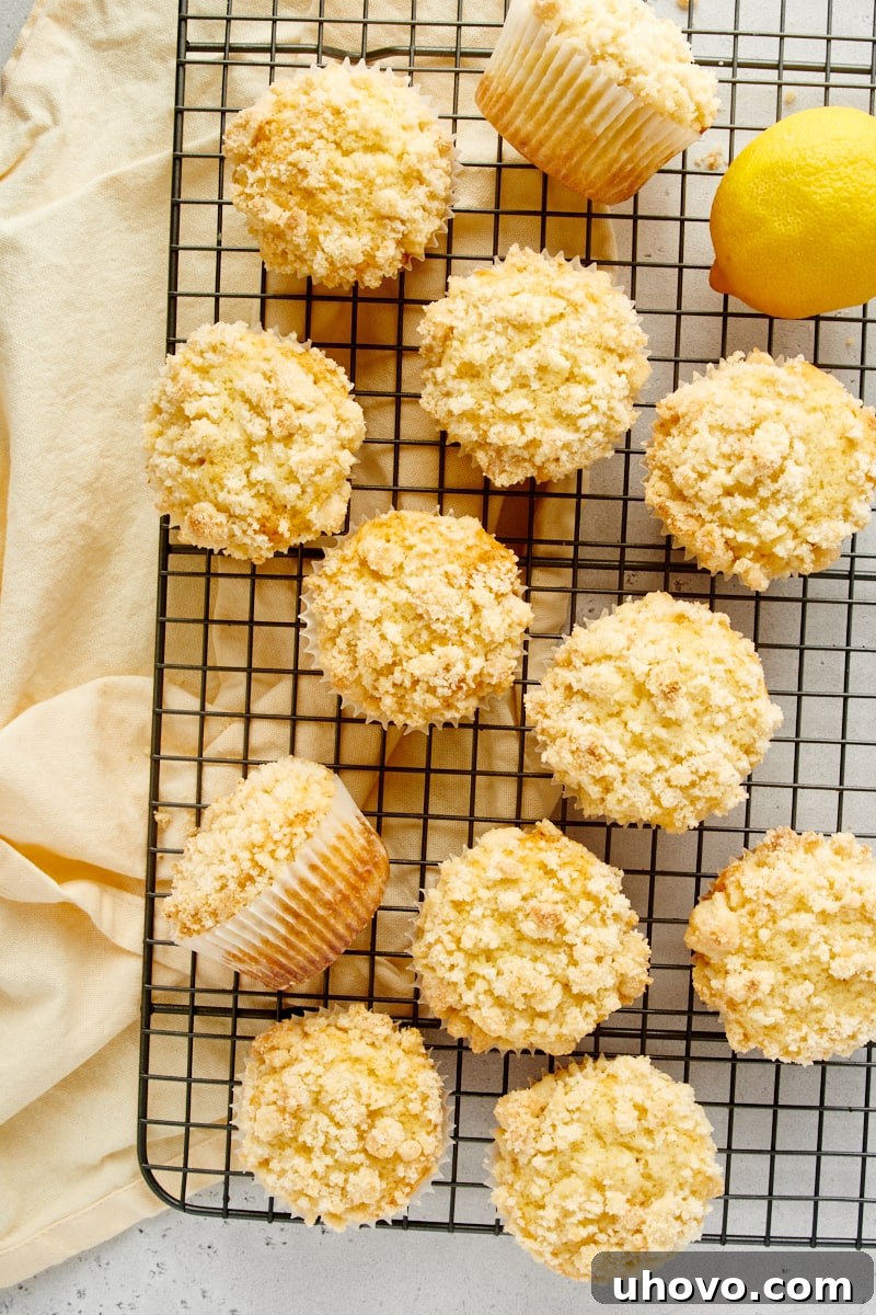Overhead view of freshly baked Lemon Crumb Muffins cooling on a wire rack, steam gently rising.