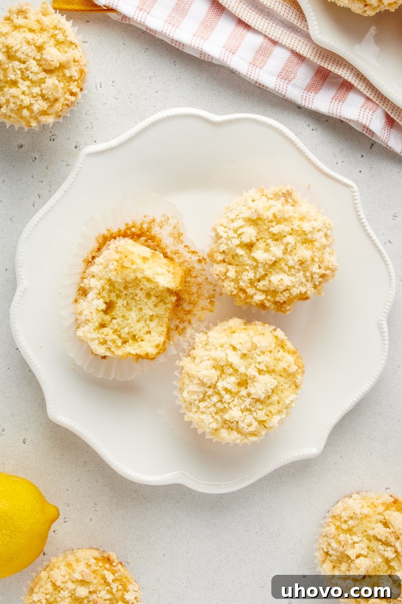 Close-up overhead view of three golden-brown Lemon Crumb Muffins on a white plate, showing the textured crumb topping.