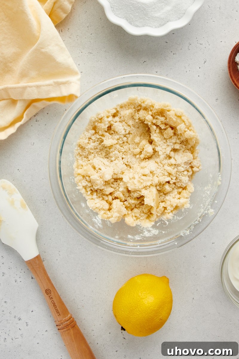 Overhead view of mixed crumb topping for Lemon Crumb Muffins, showing its textured, crumbly consistency.