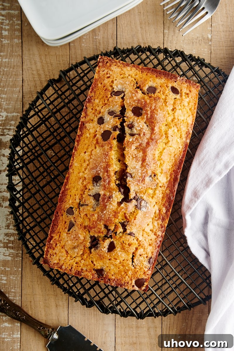Overhead view of a freshly baked Chocolate Chip Loaf Cake resting on a wire cooling rack, golden brown and perfectly risen