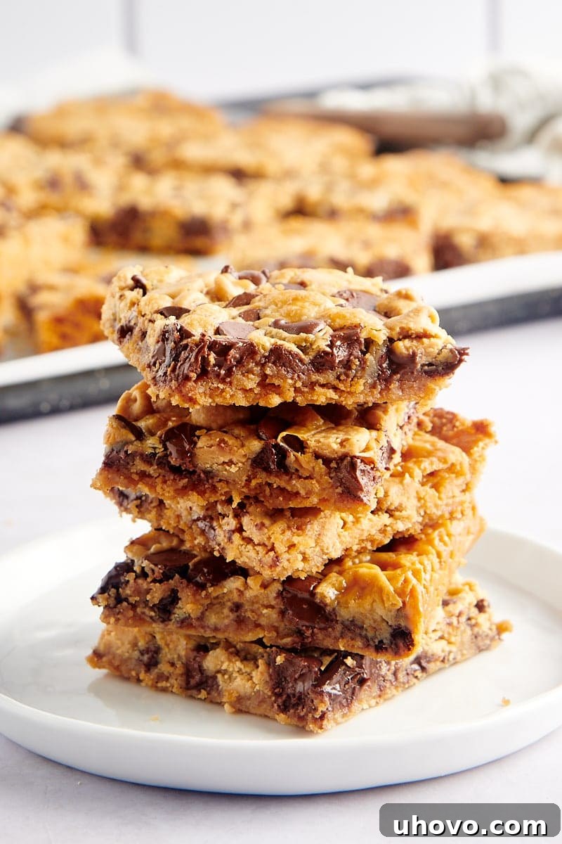 Stack of rich, chewy Double Delicious Cookie Bars with chocolate and peanut butter chips on a plate, ready to be enjoyed.
