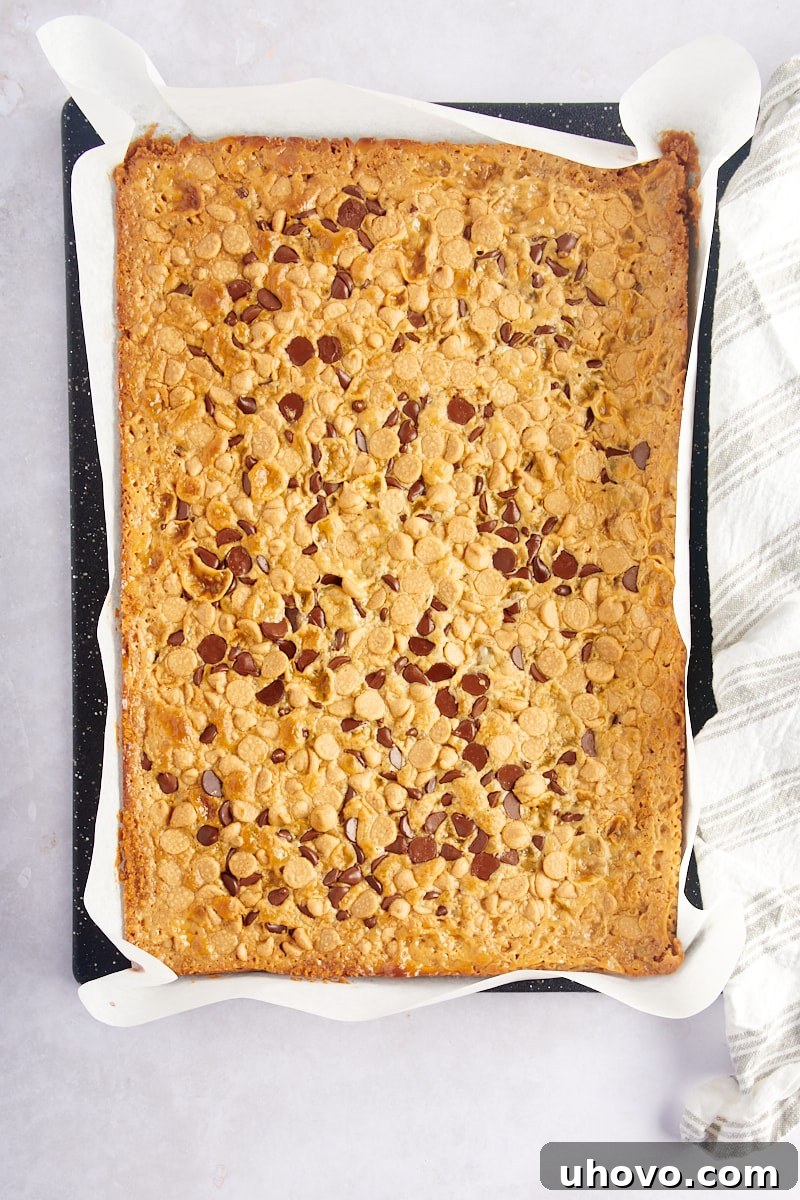 Overhead view of baked Double Delicious Cookie Bars, golden brown and set, still in the pan before being cut into individual servings.