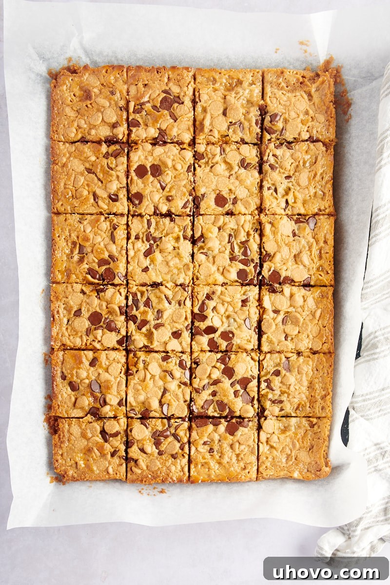 Overhead view of Double Delicious Cookie Bars cut into neat squares within the baking pan, showing the chewy texture and melted chip topping.