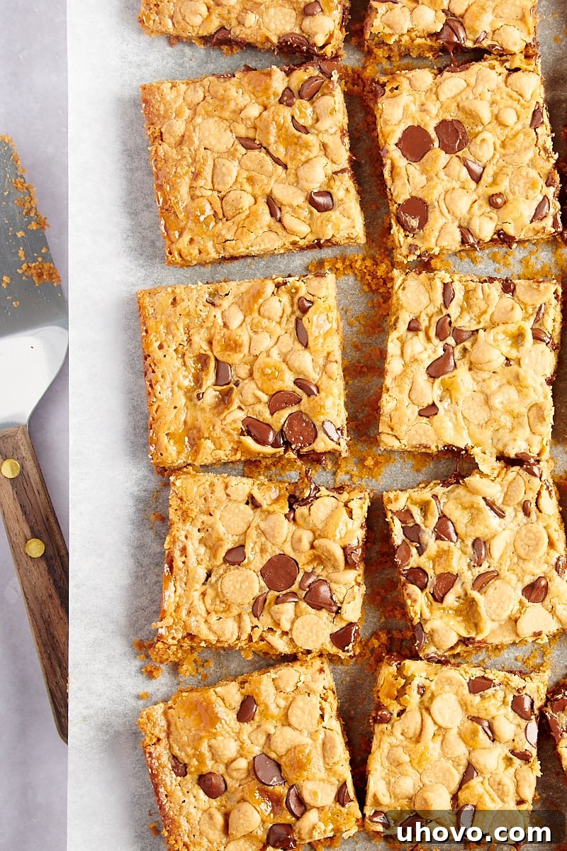 Overhead view of several cut Double Delicious Cookie Bars arranged neatly on parchment paper, ready to be served or stored.