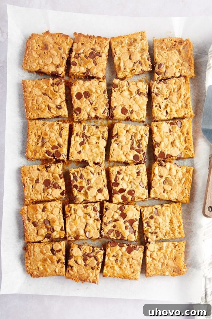 Overhead view of perfectly cut Double Delicious Cookie Bars in a baking pan, showing the delightful layers.