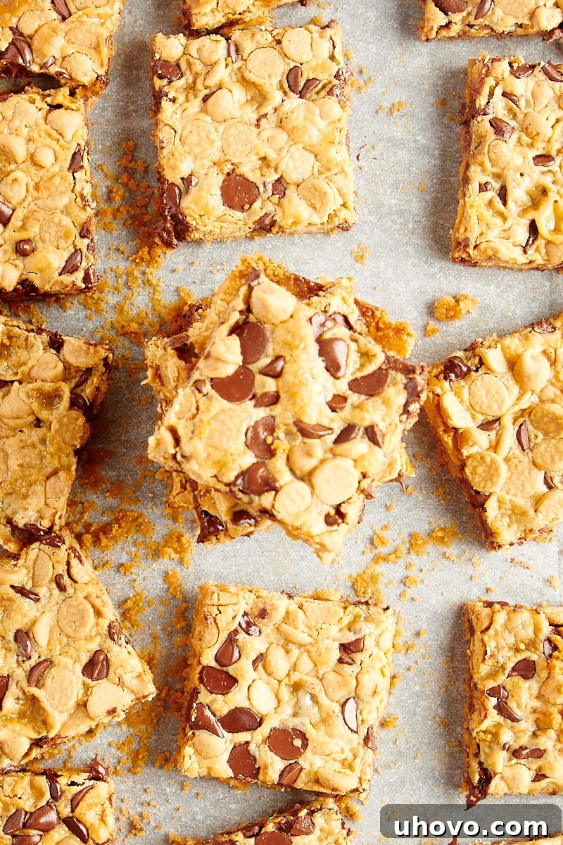 Overhead view of freshly baked Double Delicious Cookie Bars cooling on parchment paper in a 9x13 inch pan before cutting.