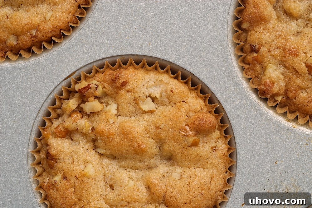 A close-up shot of two freshly baked Pear and Pecan Muffins, showcasing their golden tops and delicious texture, perfect for fall mornings.