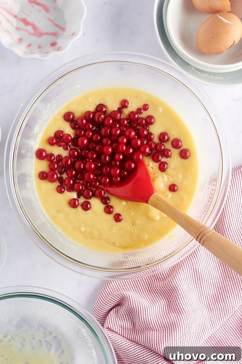 Overhead view of red currants added to muffin batter in a glass mixing bowl