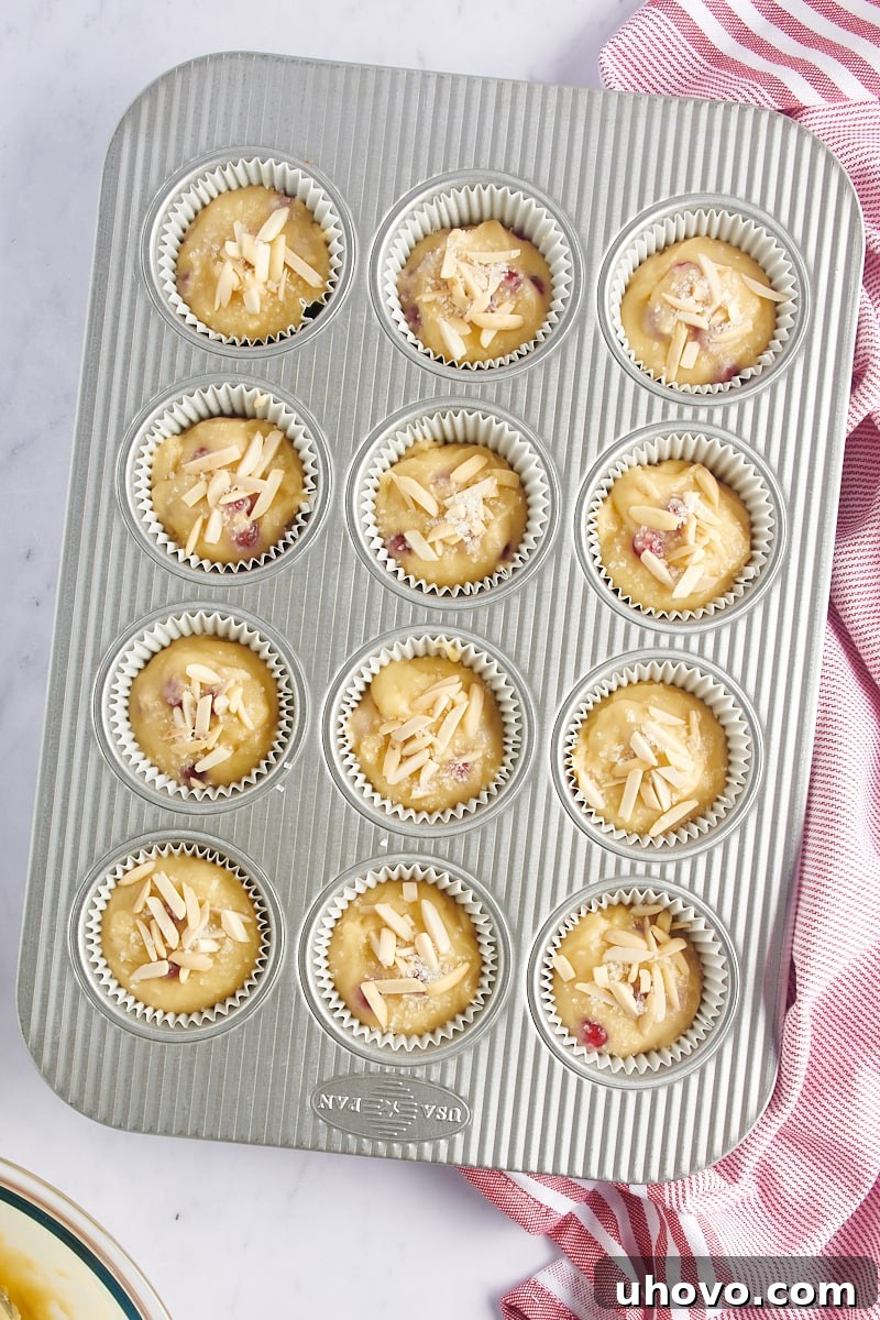Overhead view of Red Currant Muffins in a muffin pan, ready to be baked