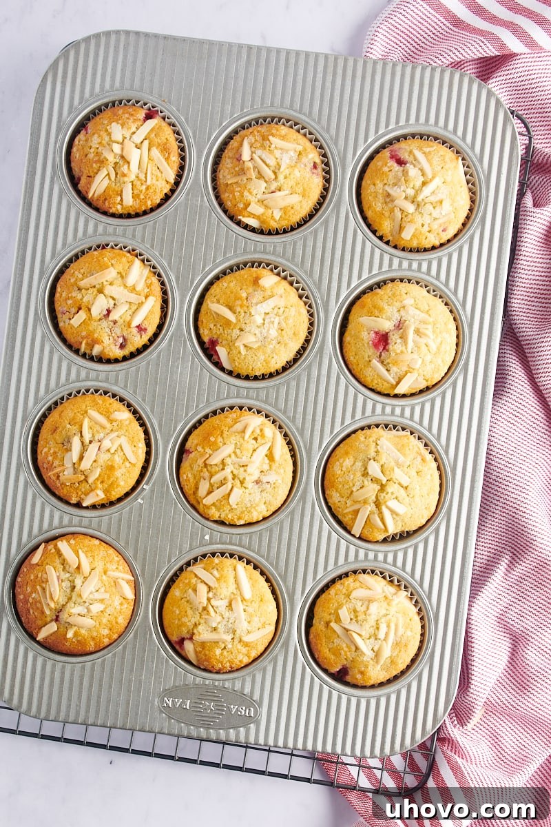 Overhead view of freshly baked Red Currant Muffins in a muffin pan, cooling on a wire rack