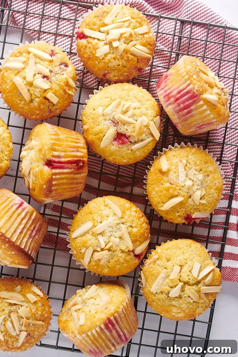 Overhead view of Red Currant Muffins cooling on a wire rack