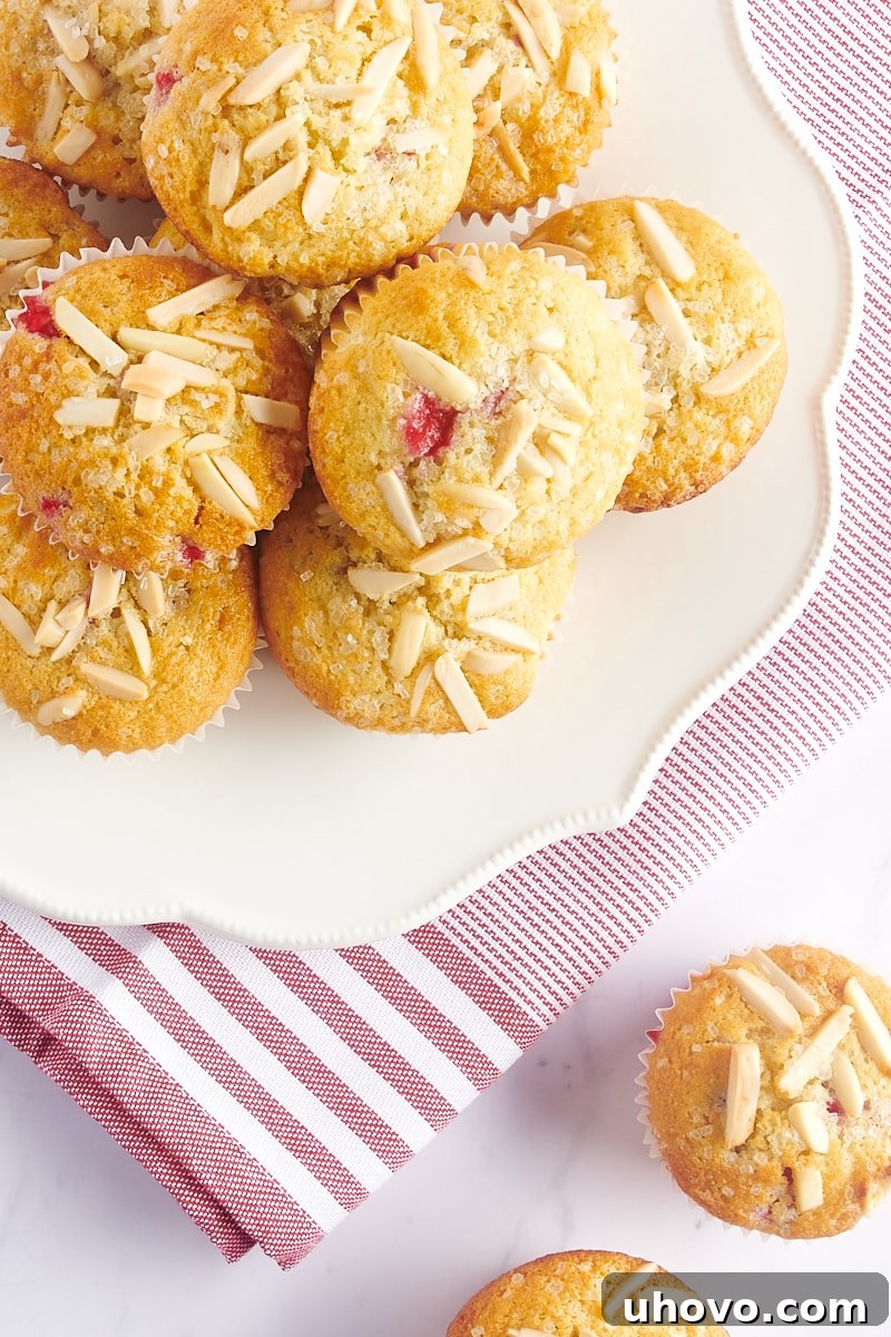 Overhead view of several Red Currant Muffins arranged beautifully on a white plate