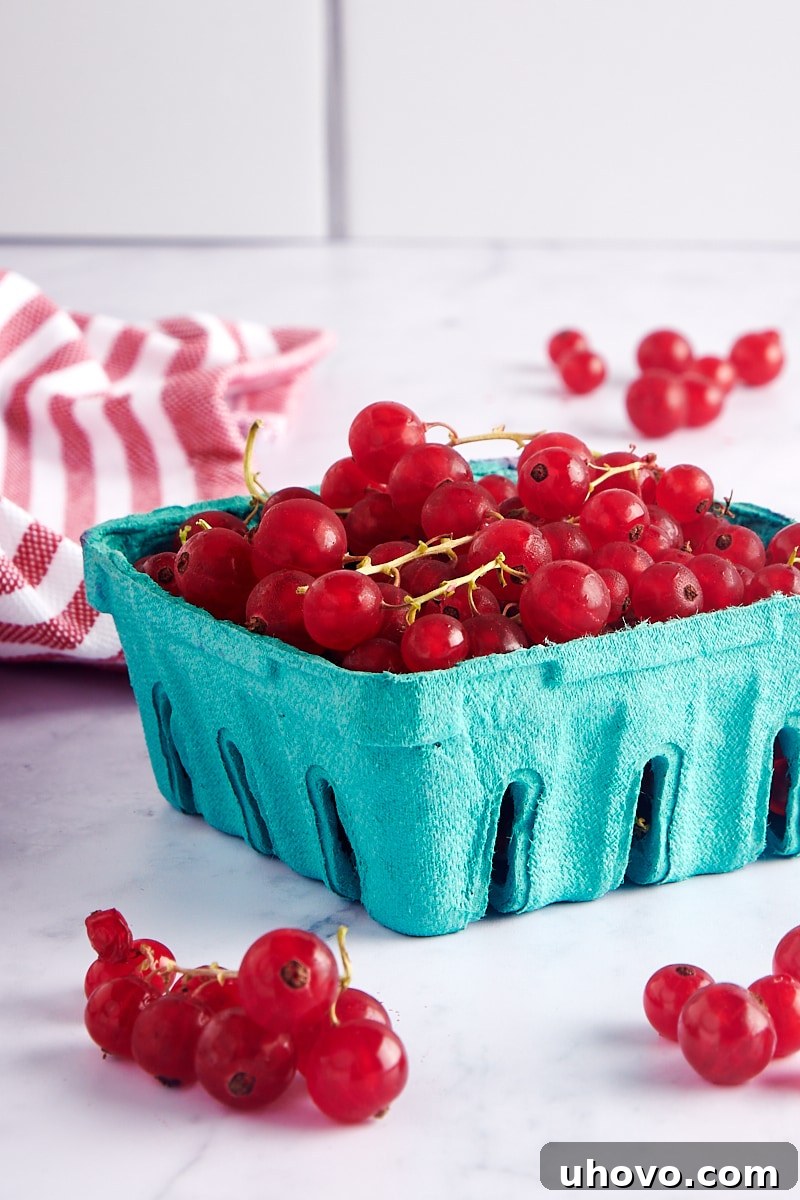 Fresh red currants in a green berry basket, highlighting their vibrant color