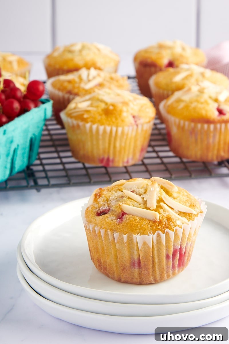 A single Red Currant Muffin on a white plate, with more muffins cooling on a wire rack in the background