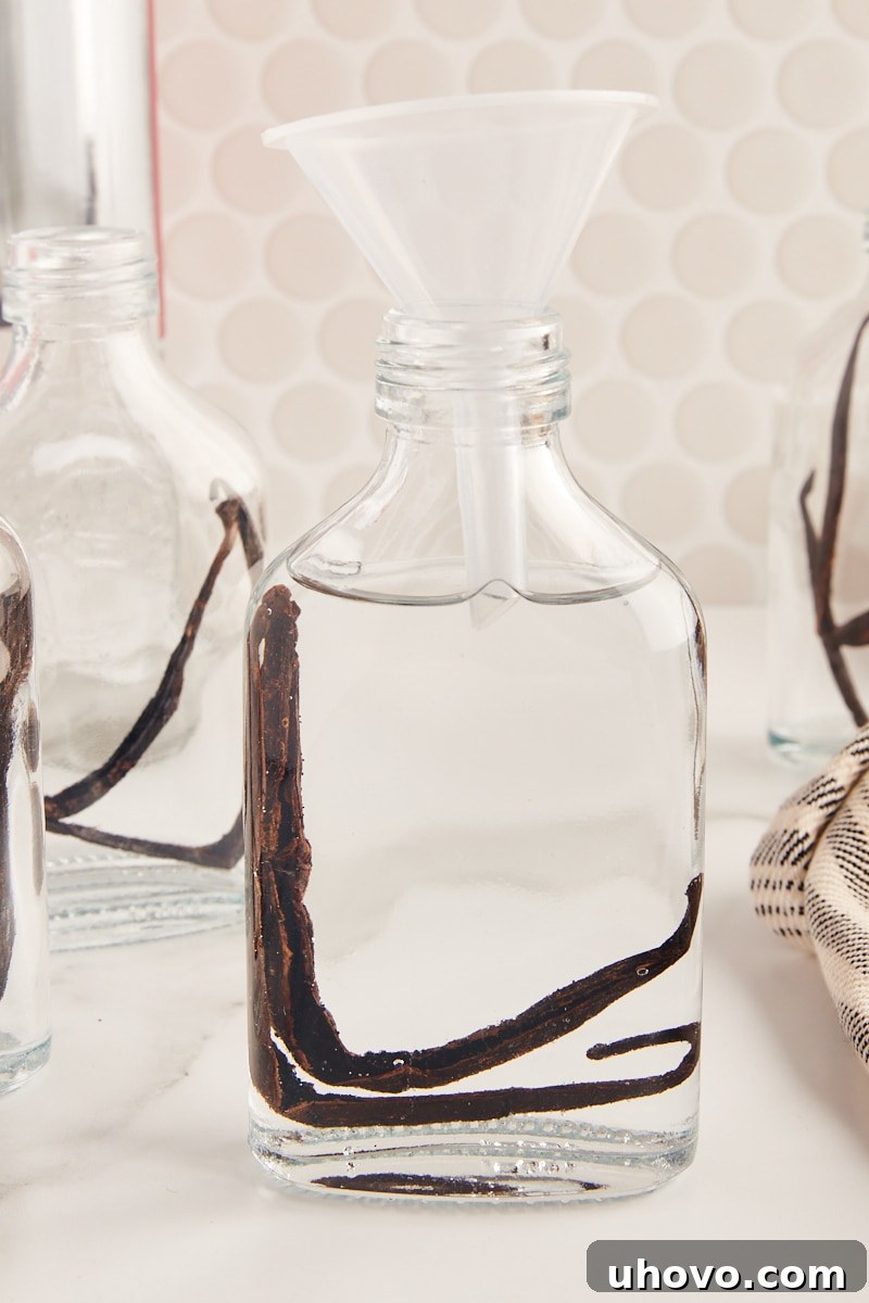 a glass jar filled with vanilla beans and vodka, with a small funnel inserted into the top