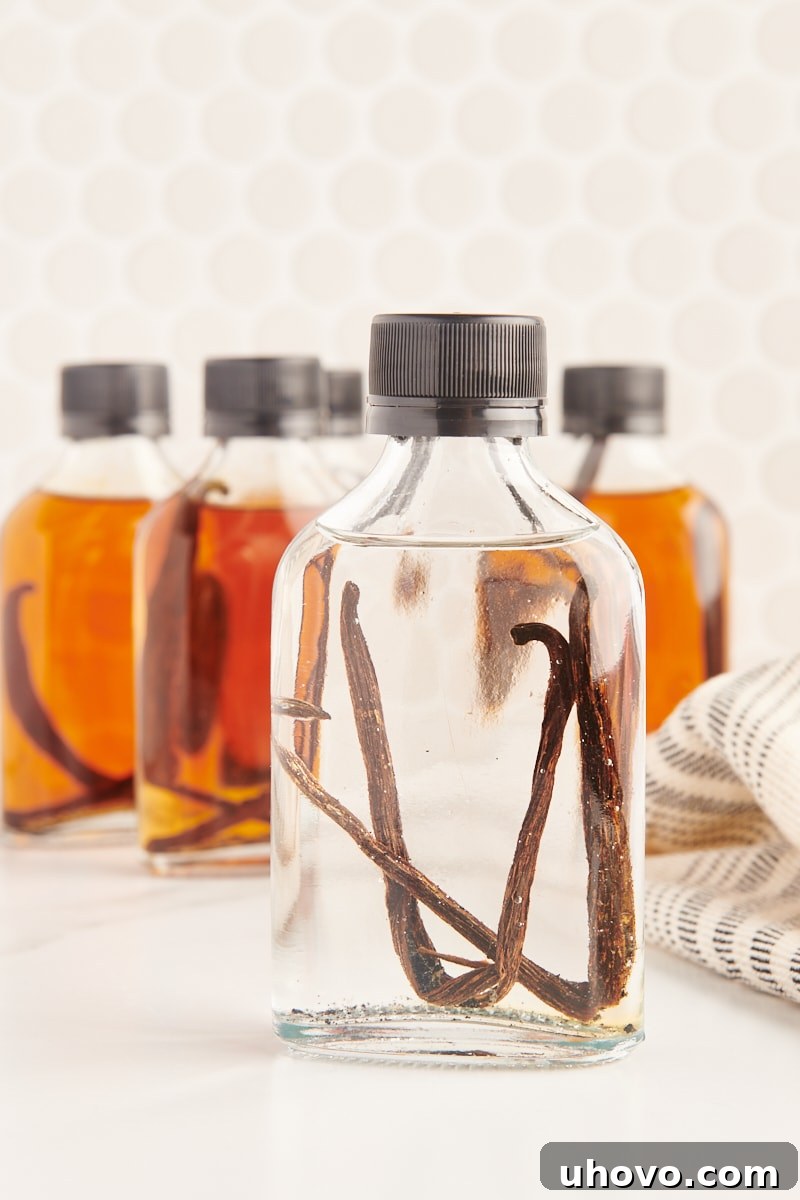 a freshly made bottle of vanilla extract in front of several bottles of aged vanilla extract