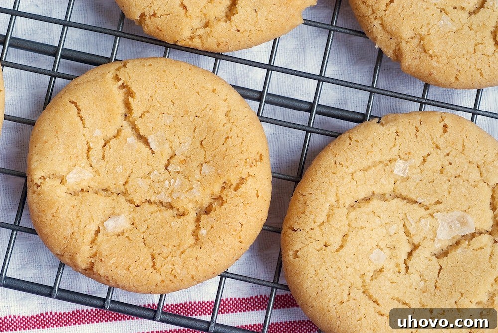 Overhead view of salted brown butter sugar cookies on wire rack