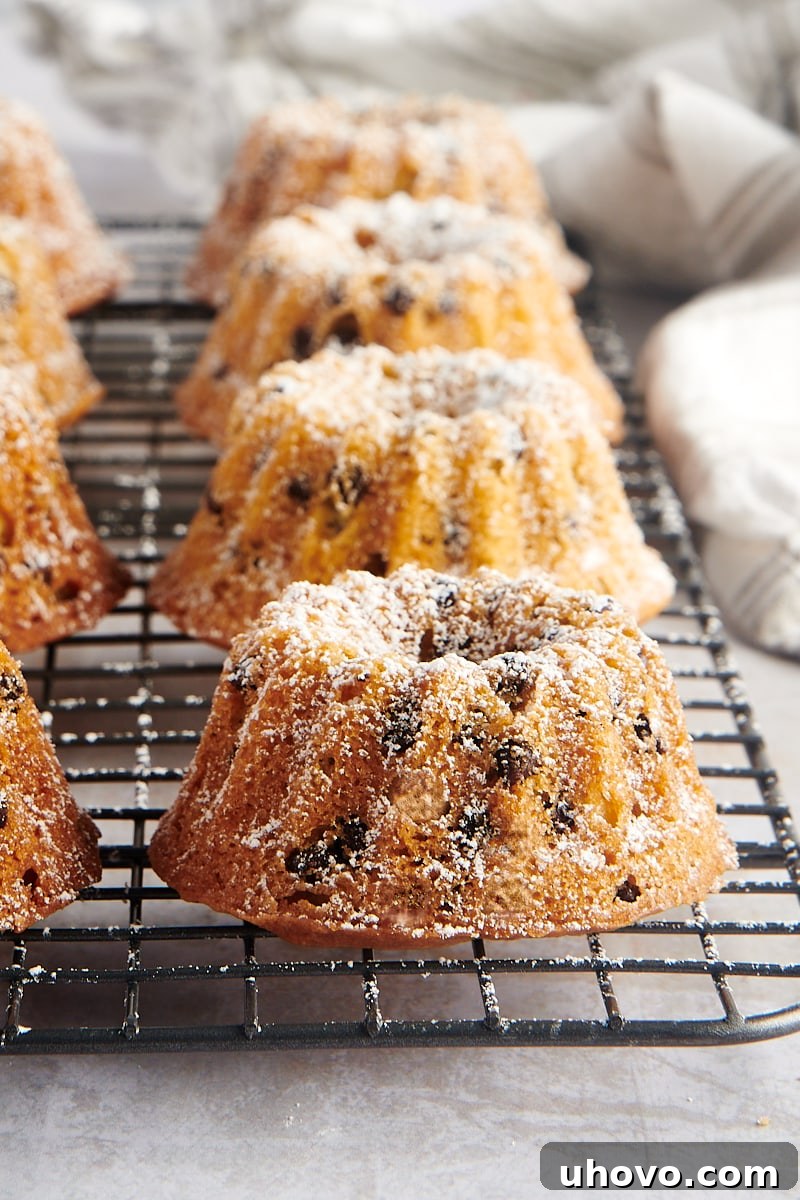 Mini Chocolate Chip Bundt Cakes cooling on a wire rack, showcasing their perfect miniature form and golden-brown tops.