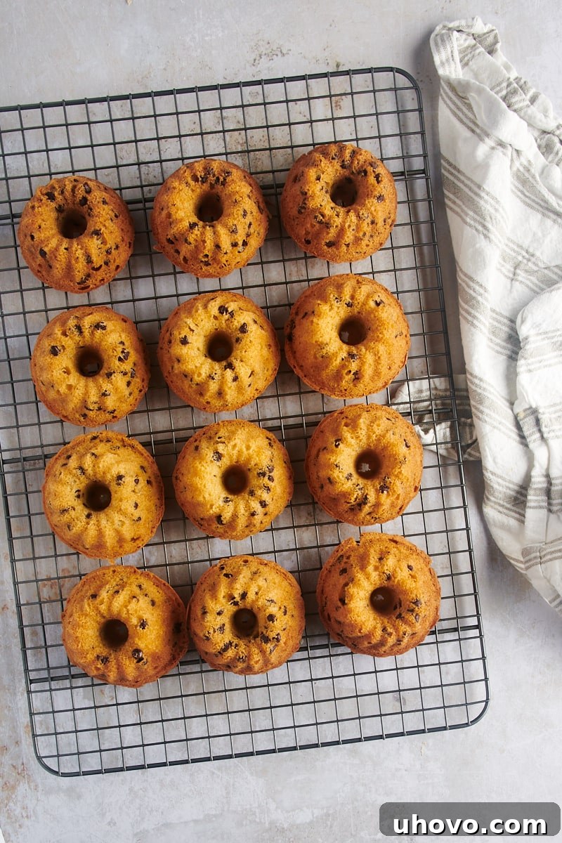 An overhead view features freshly baked Mini Chocolate Chip Bundt Cakes arranged on a wire cooling rack, perfectly golden and ready to be enjoyed.