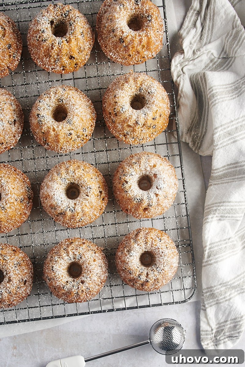 An overhead view of Mini Chocolate Chip Bundt Cakes delicately dusted with confectioners' sugar, highlighting their elegant presentation and ready-to-serve appeal.