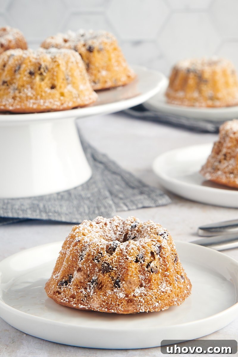 A single Mini Chocolate Chip Bundt Cake, beautifully plated, with more cakes softly blurred in the background, creating an inviting focus on the individual dessert.