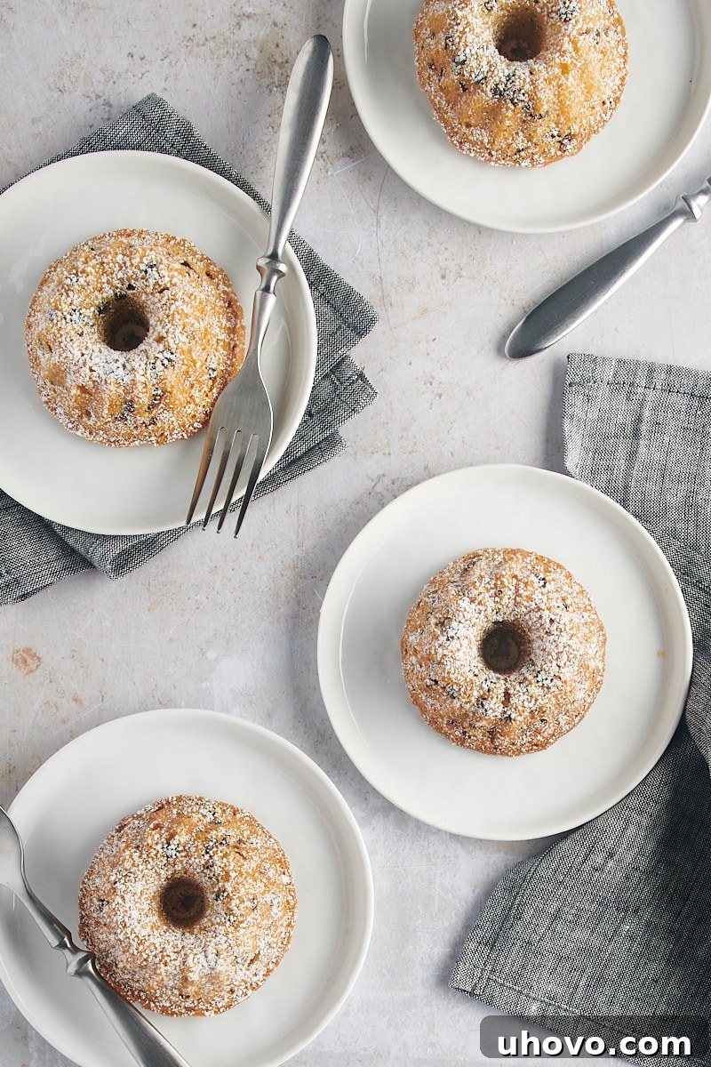 An overhead shot of elegantly presented Mini Chocolate Chip Bundt Cakes on pristine white plates, highlighting their individual charm and readiness to be served.