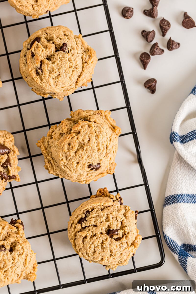 Overhead view of Oatmeal Peanut Butter Chocolate Chip Cookies on wire cooling rack