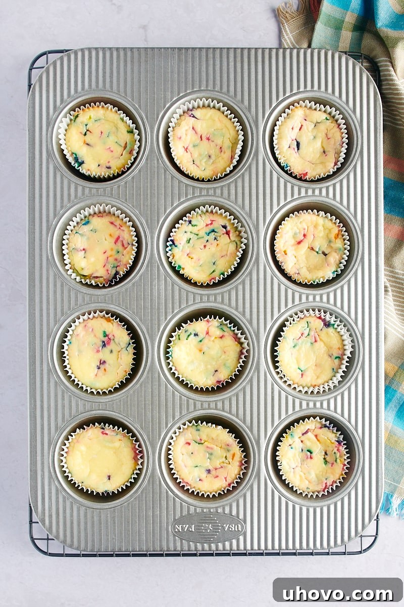 An overhead shot showcasing a muffin pan filled with freshly baked Mini Funfetti Cheesecakes, their tops lightly golden and centers perfectly set.