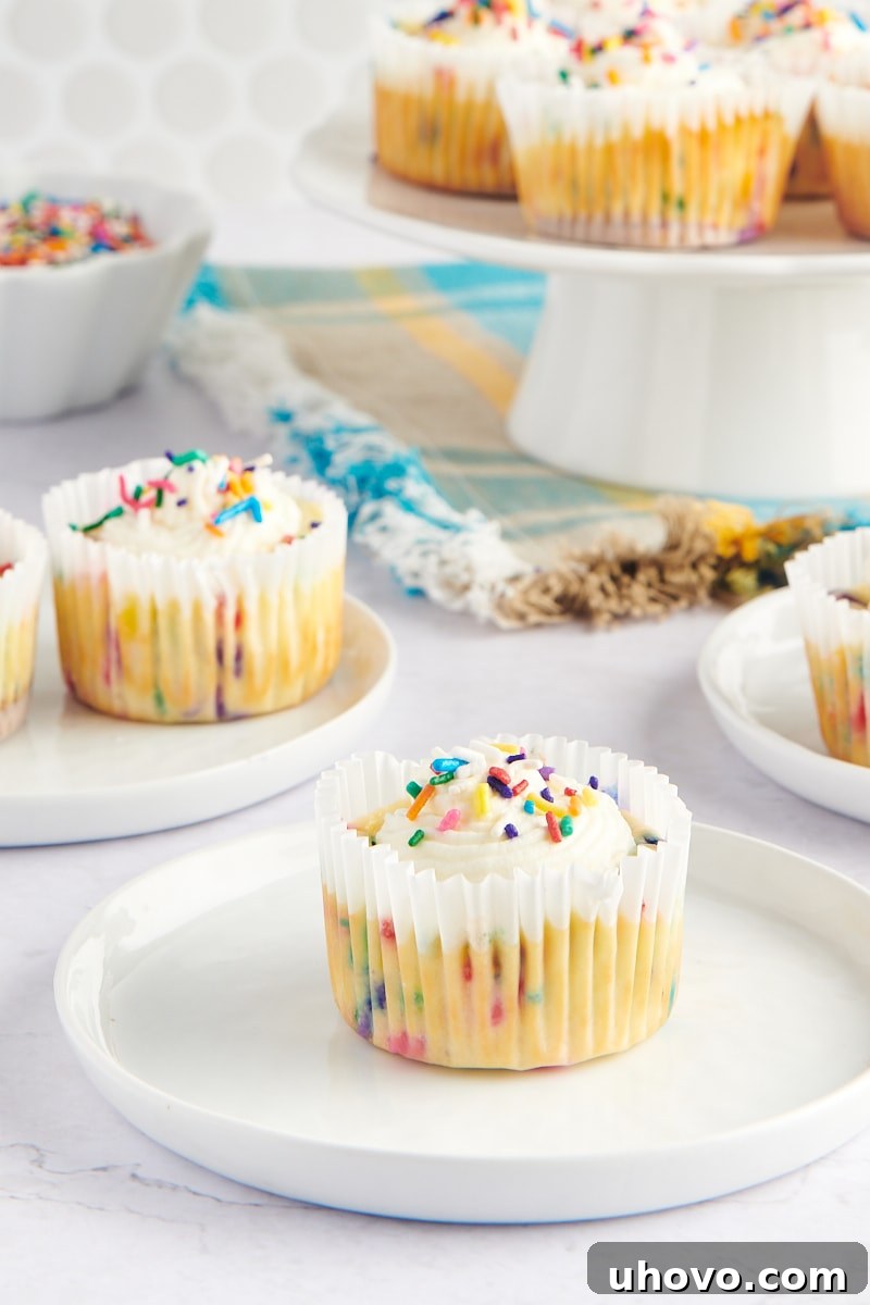 A captivating arrangement of Mini Funfetti Cheesecakes presented on small white plates and an elegant white pedestal, highlighting their individual charm.
