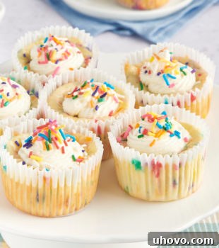 Mini Funfetti Cheesecakes on a white pedestal
