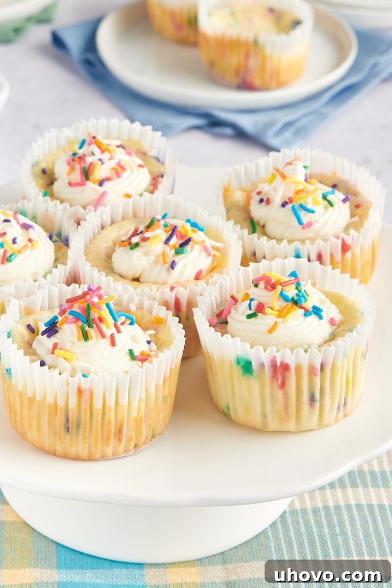A collection of Mini Funfetti Cheesecakes arranged on an elegant white pedestal, showcasing their inviting golden crusts and sprinkle-studded creamy tops.