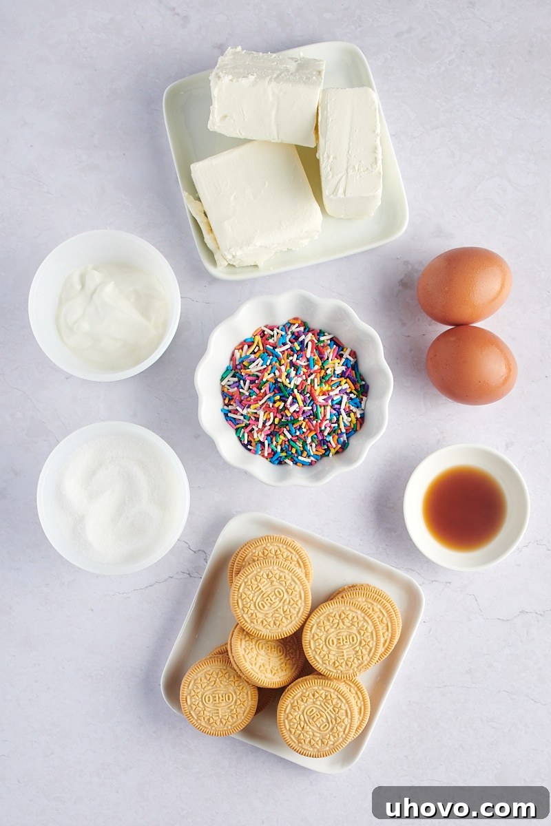An overhead view capturing all the fresh ingredients meticulously laid out for the Mini Funfetti Cheesecakes, ready for preparation.