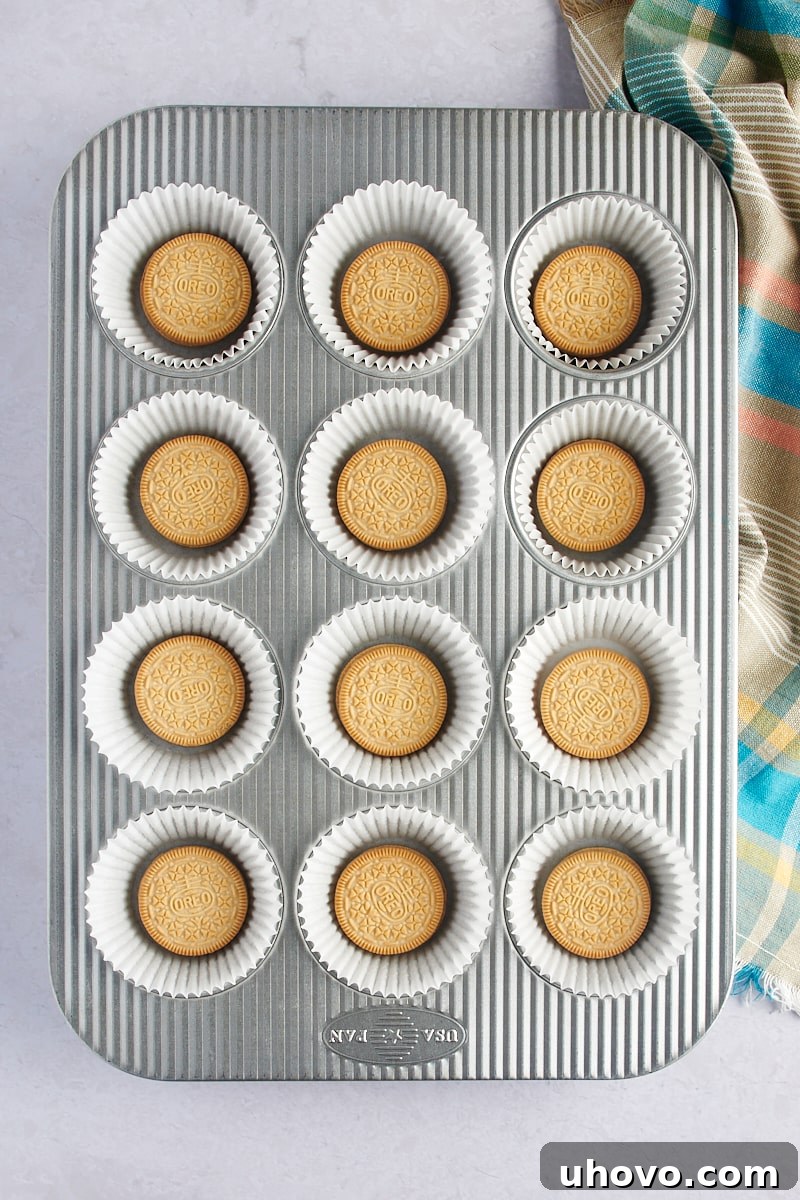 An overhead shot of a muffin pan, with each paper-lined cup holding a single Golden Oreo cookie at the bottom, ready for the cheesecake batter.