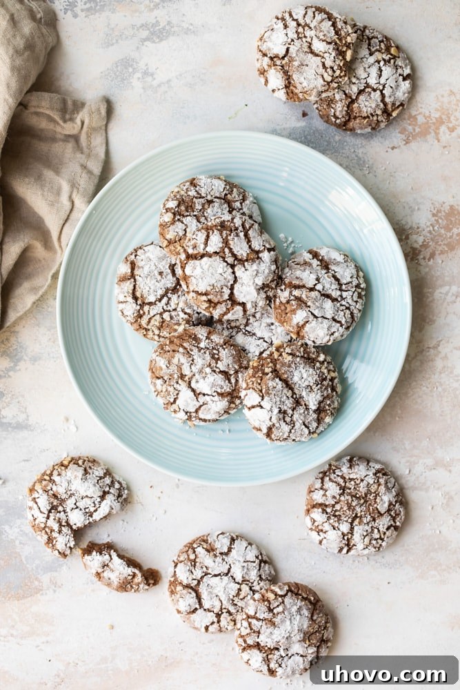 Overhead view of hazelnut crinkle cookies on a light blue plate.