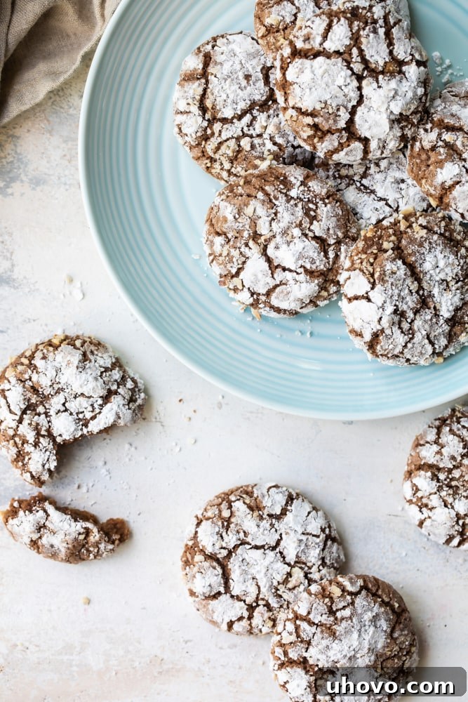 Overhead view of hazelnut crinkle cookies on a blue plate and a light beige surface.