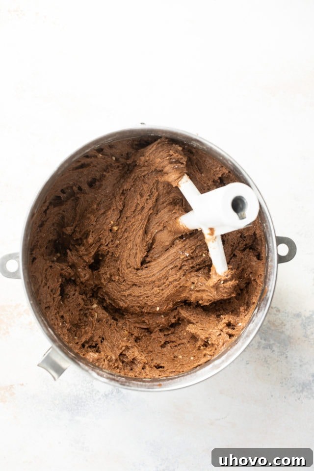 Overhead view of hazelnut crinkle cookies dough in a mixing bowl.