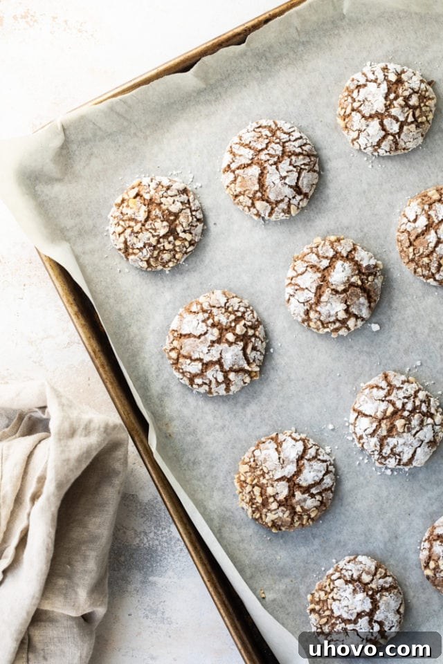 Overhead view of hazelnut crinkle cookies on a parchment-lined baking sheet.