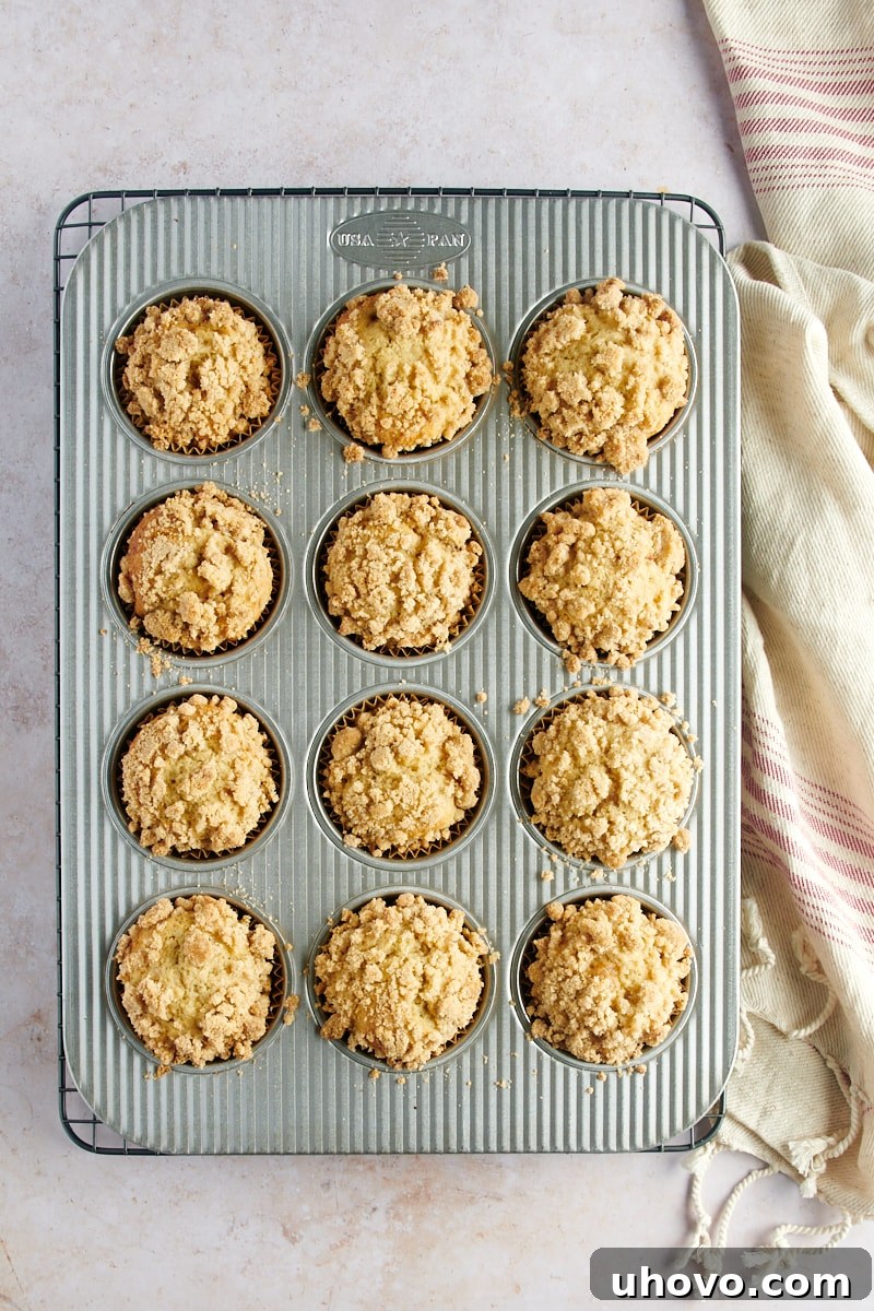 overhead view of freshly baked Apple Cinnamon Muffins in a muffin pan on a wire rack