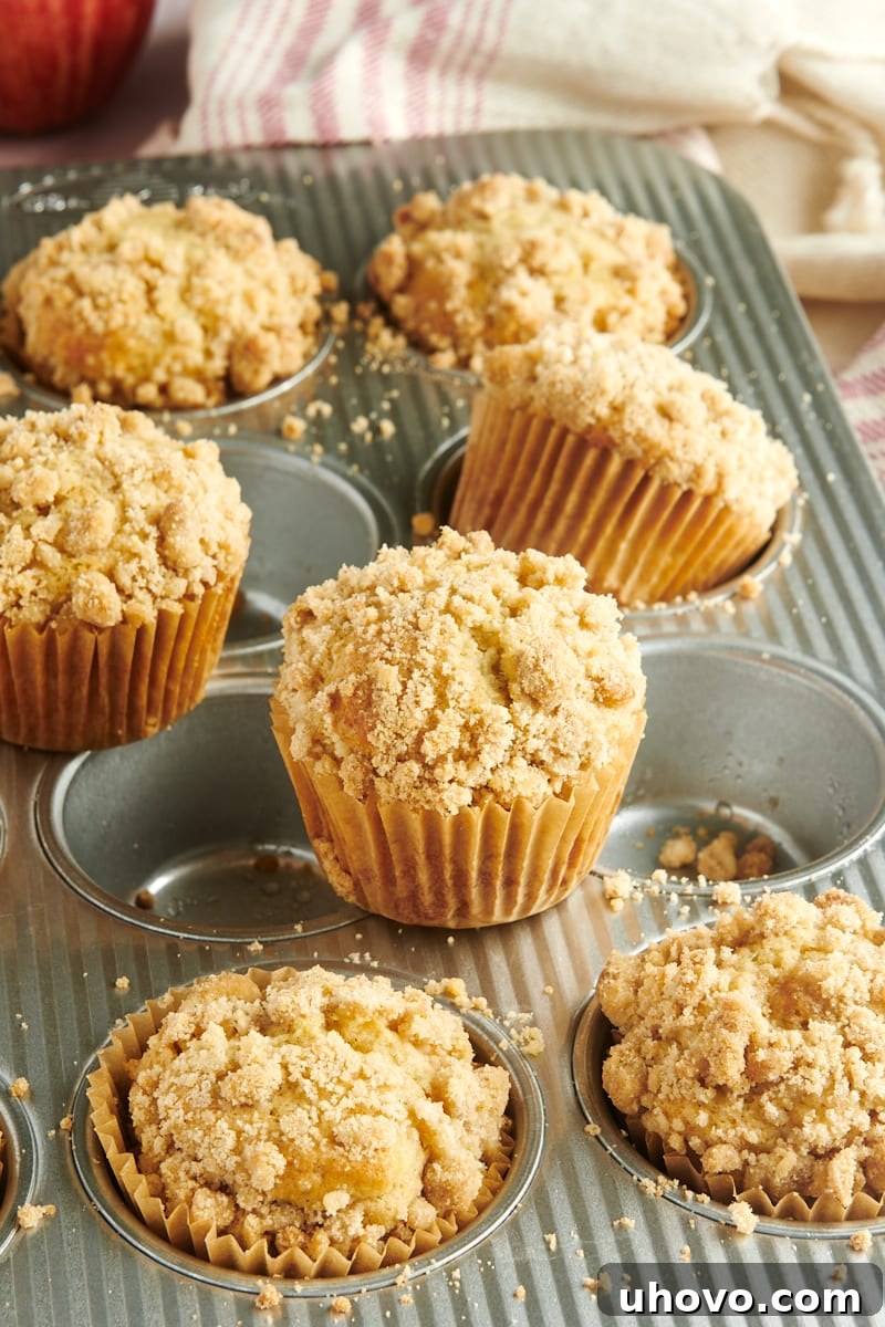 Apple Cinnamon Muffins scattered in and on a muffin pan