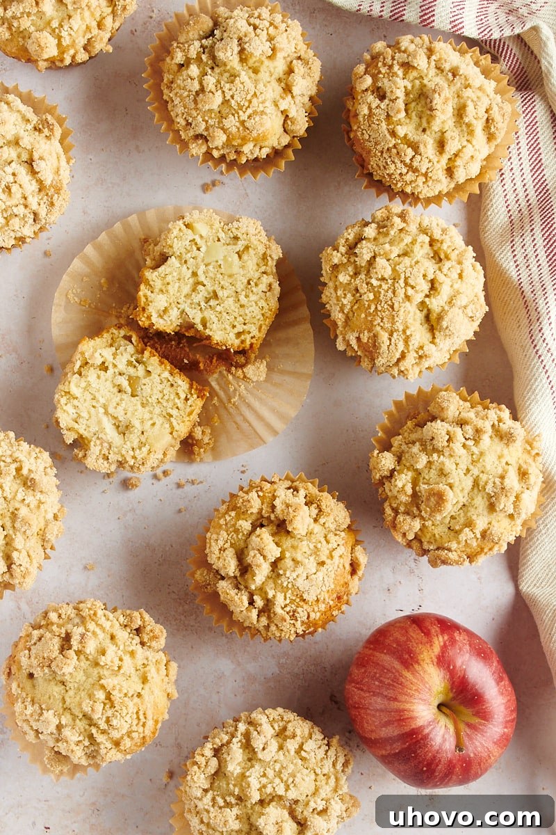 overhead view of Apple Cinnamon Muffins scattered over a countertop