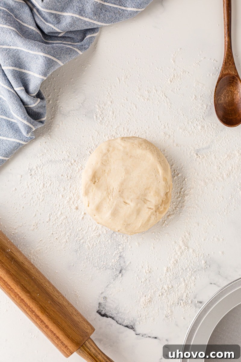 Overhead view of a disc of chilled pie crust dough placed on a lightly floured surface, ready to be rolled out into a perfect circle for a pie.