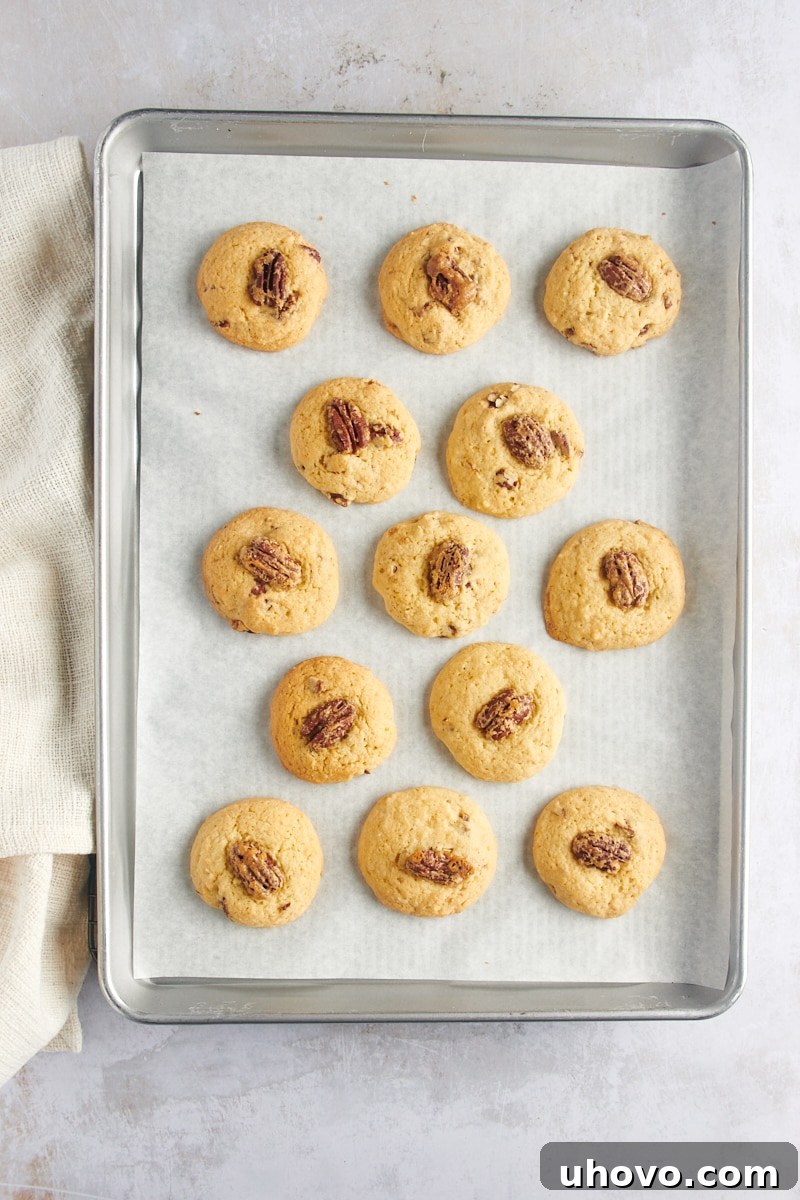 Overhead view of freshly baked Maple Pecan Cookies cooling on a parchment-lined baking sheet, golden and inviting.