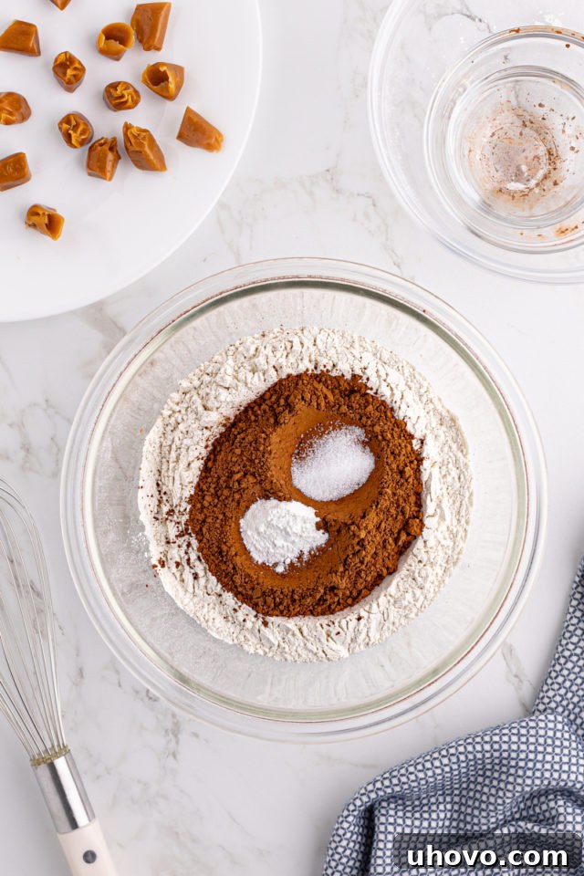 Overhead view of dry ingredients in mixing bowl before whisking