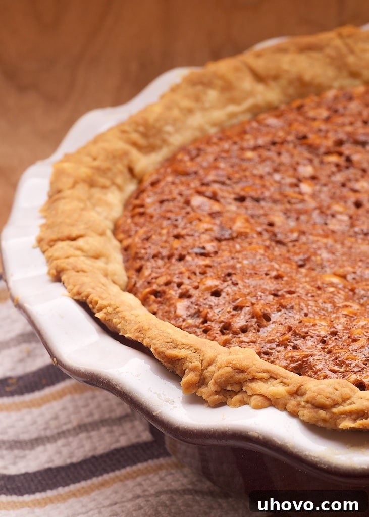 Decadent Chocolate Hazelnut Pie with a golden crust and rich, gooey filling, adorned with toasted hazelnuts. A perfect twist on pecan pie for chocolate and nut lovers.